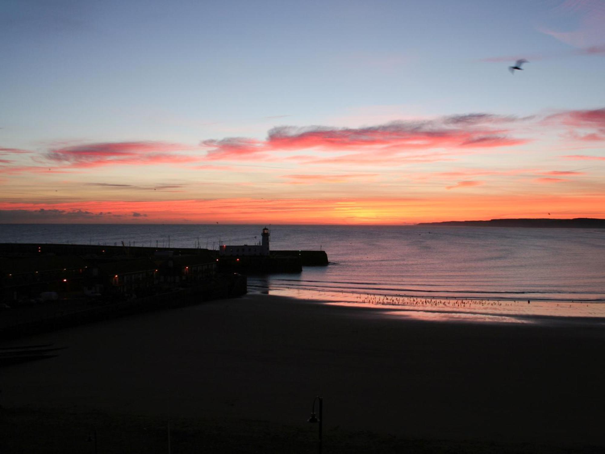 Waimea Apartments - Sea Views South Bay Scarborough Free Parking Exteriér fotografie